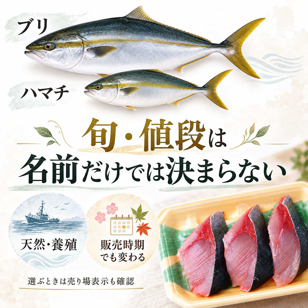 旬や値段はどう違う？スーパーで迷わないハマチとブリの選び方