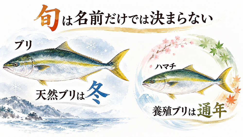 ハマチとブリの旬はいつ？冬の「寒ブリ」もチェック