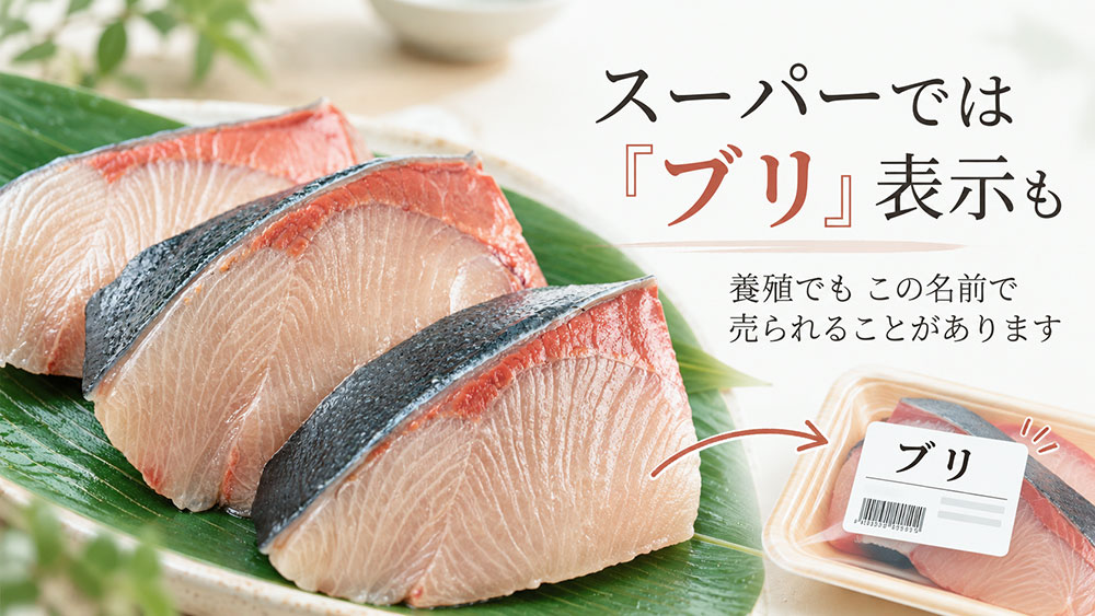 スーパーでは「ブリ」と表示されるのはなぜ？