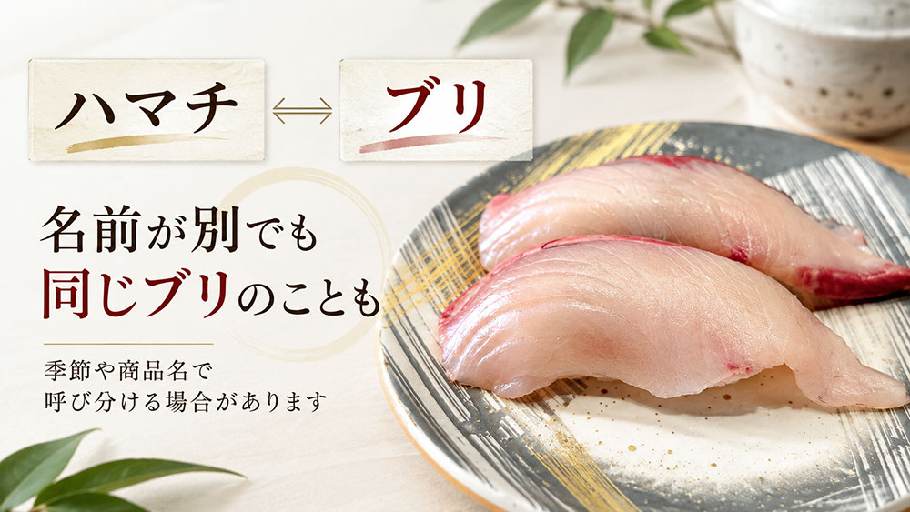 お寿司屋さんで「ハマチ」と「ブリ」が別メニューになるのはなぜ？