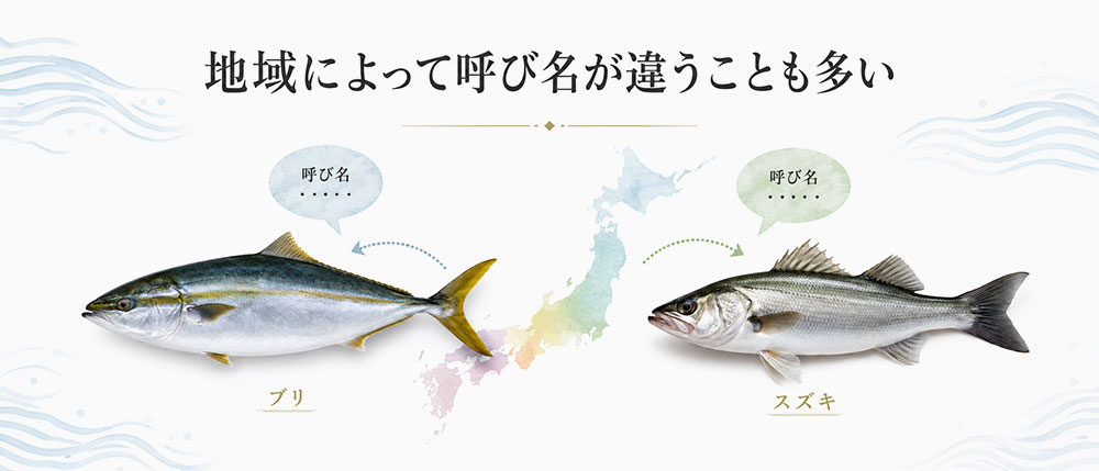 地域によって呼び名が違うことも多い