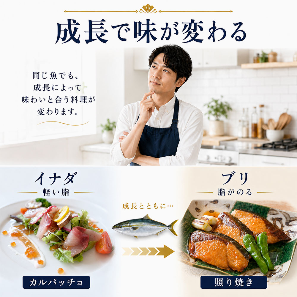 元料理人目線で見る出世魚の選び方と使い分け