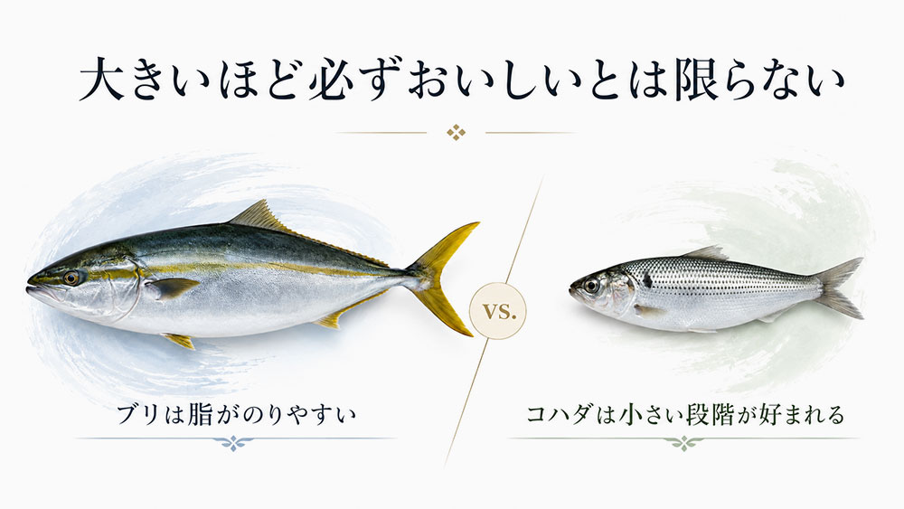 大きいほど必ずおいしいとは限らない