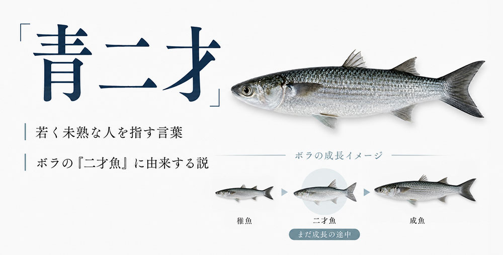 青二才