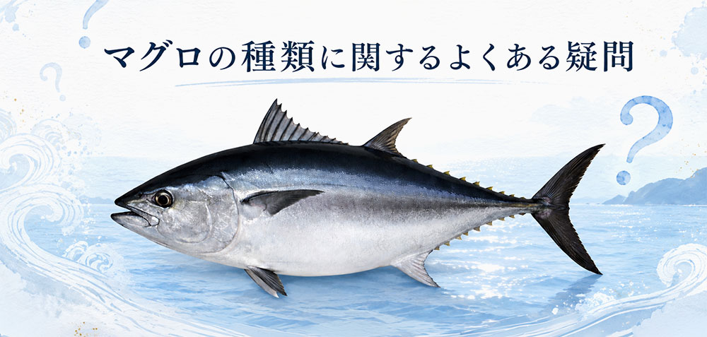 マグロの種類に関するよくある疑問