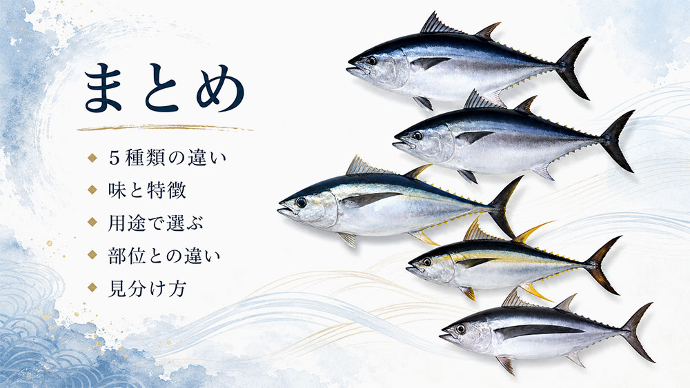 マグロの種類：まとめ