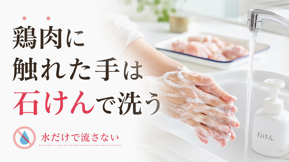 鶏肉に触れた手は石けんで洗う