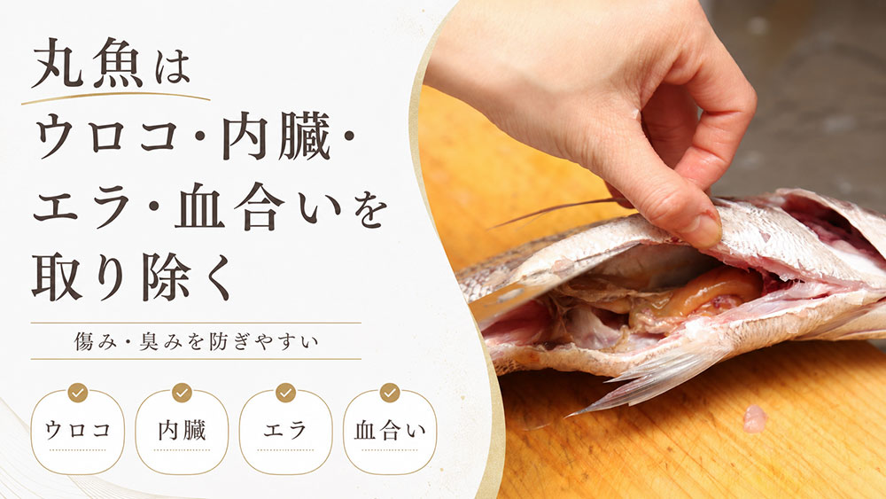 丸魚はウロコ・内臓・エラ・血合いを取り除く
