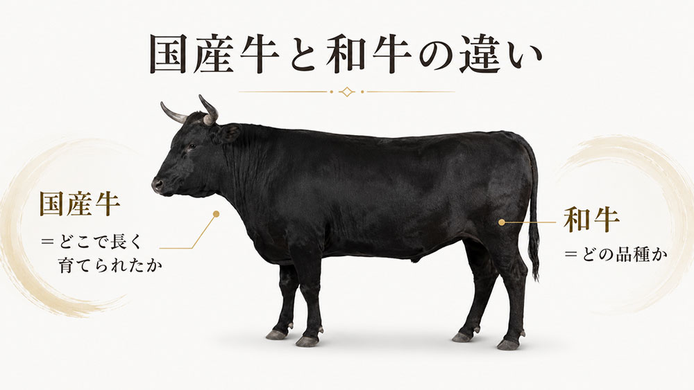 国産牛と和牛の違い