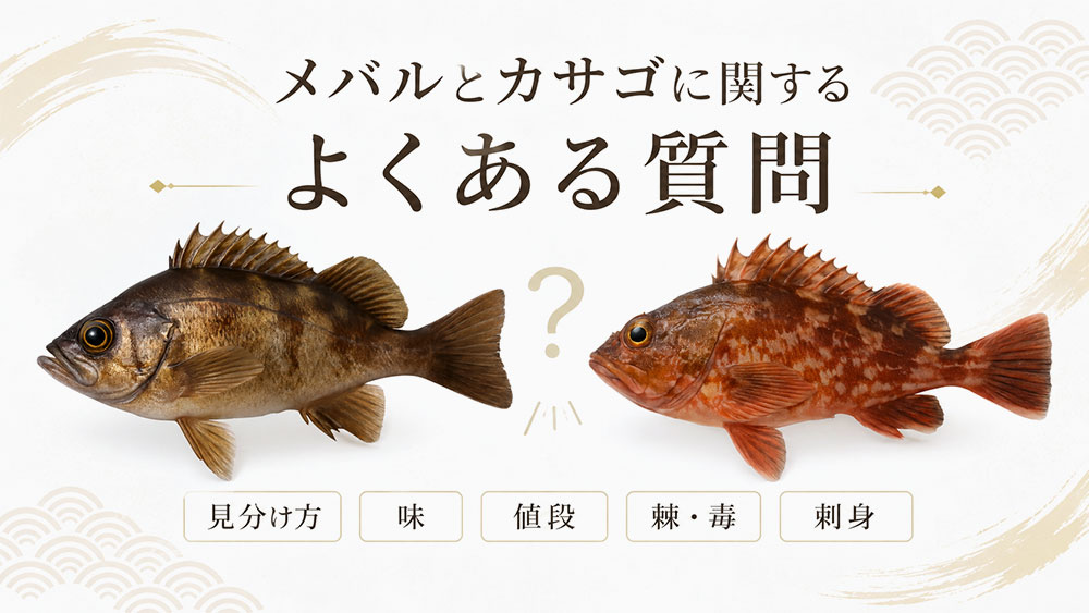 メバルとカサゴに関するよくある質問