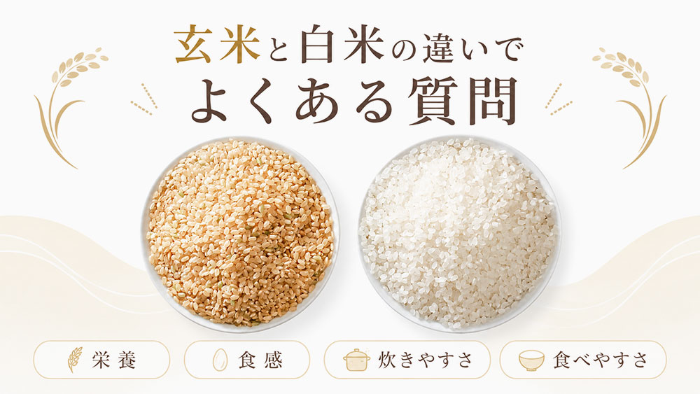 玄米と白米の違いでよくある質問