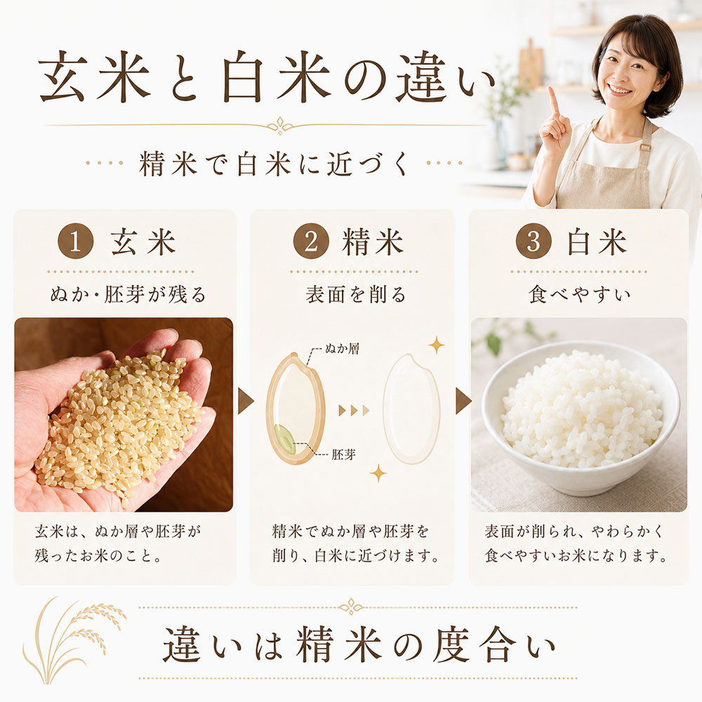 玄米と白米の違いは精米の度合い