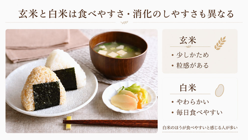 玄米と白米は食べやすさ・消化のしやすさも異なる
