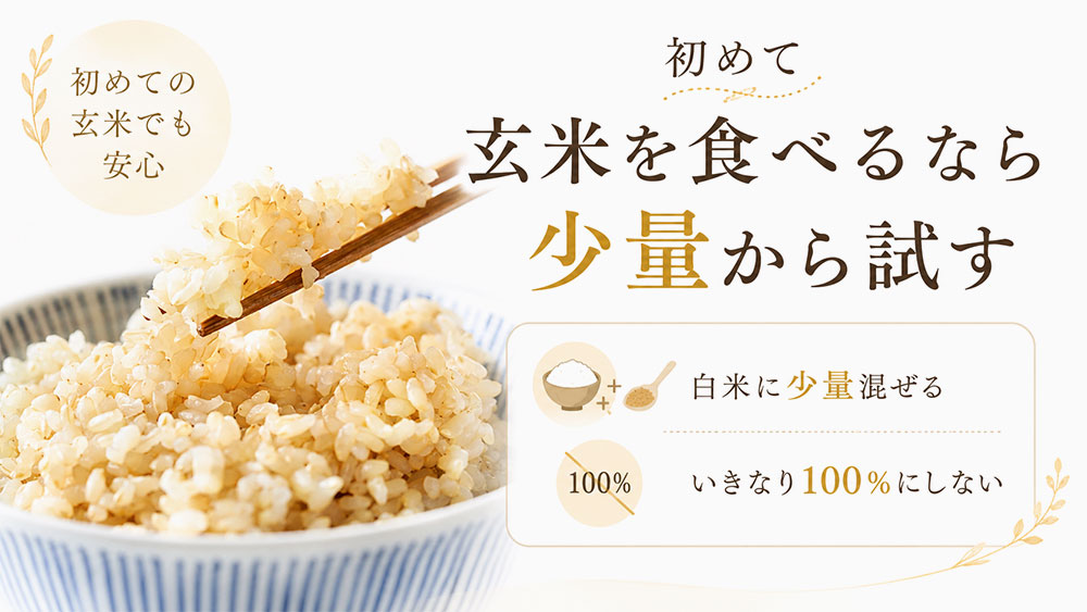 初めて玄米を食べるなら少量から試す