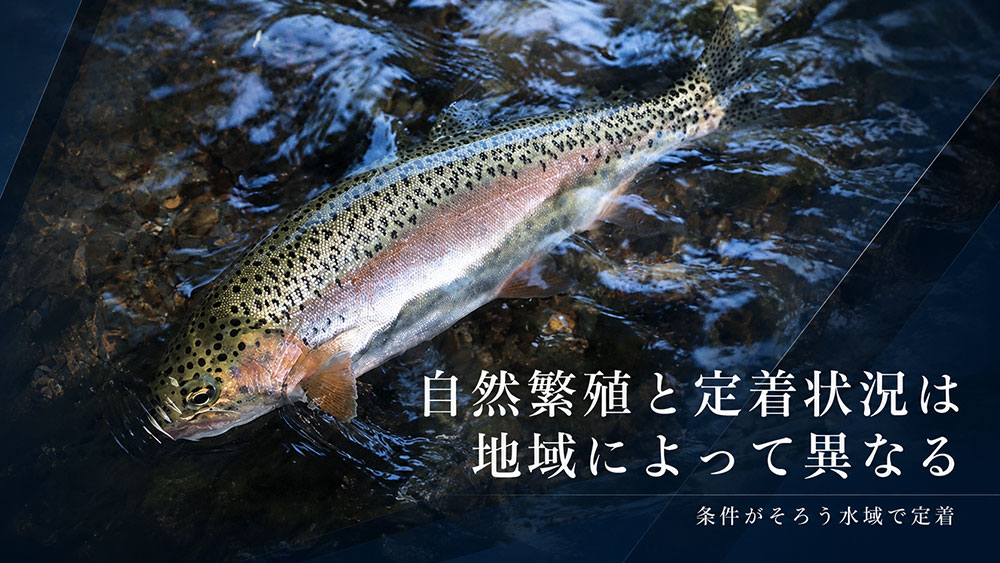 自然繁殖と定着状況は地域によって異なる