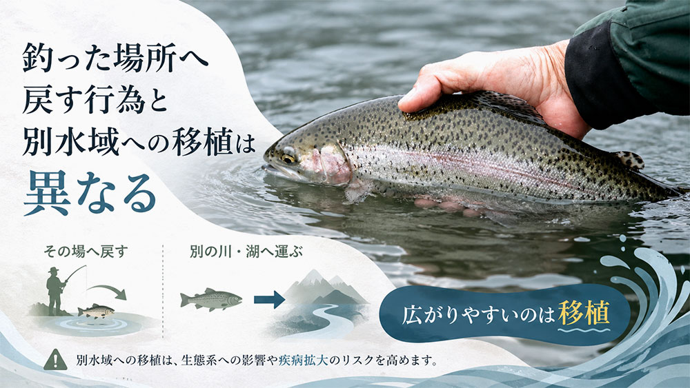 釣った場所へ戻す行為と別水域への移植は異なる