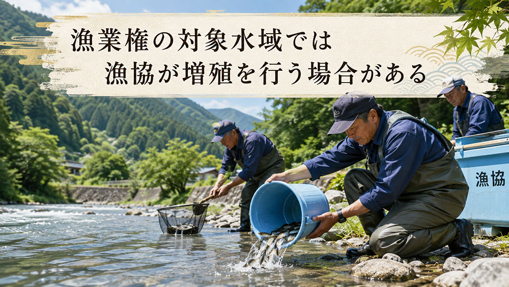 漁業権の対象水域では漁協が増殖を行う場合がある