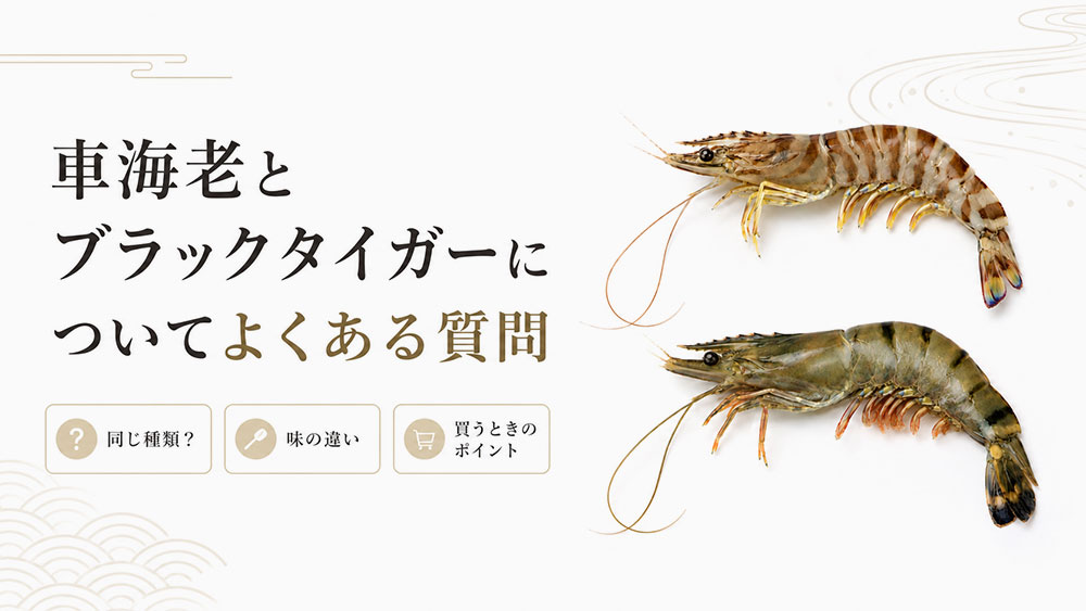 車海老とブラックタイガーについてよくある質問