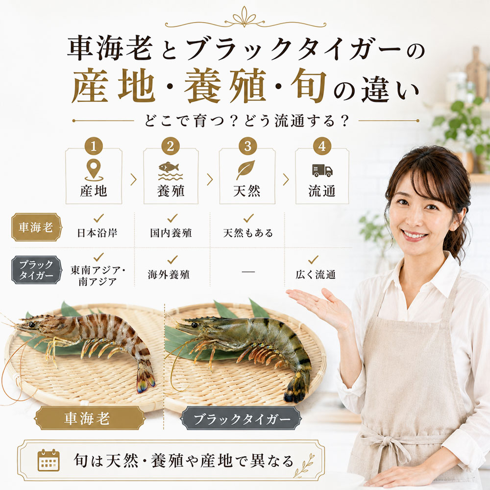 車海老とブラックタイガーの産地・養殖・旬の違い