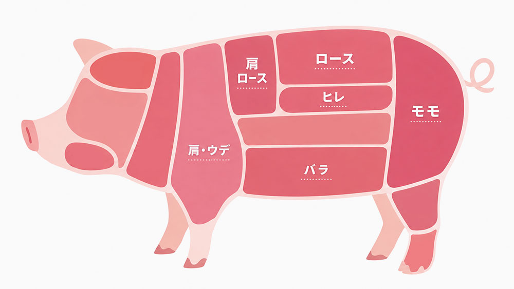 スーパーでよく見る豚肉の6部位を一覧で比較