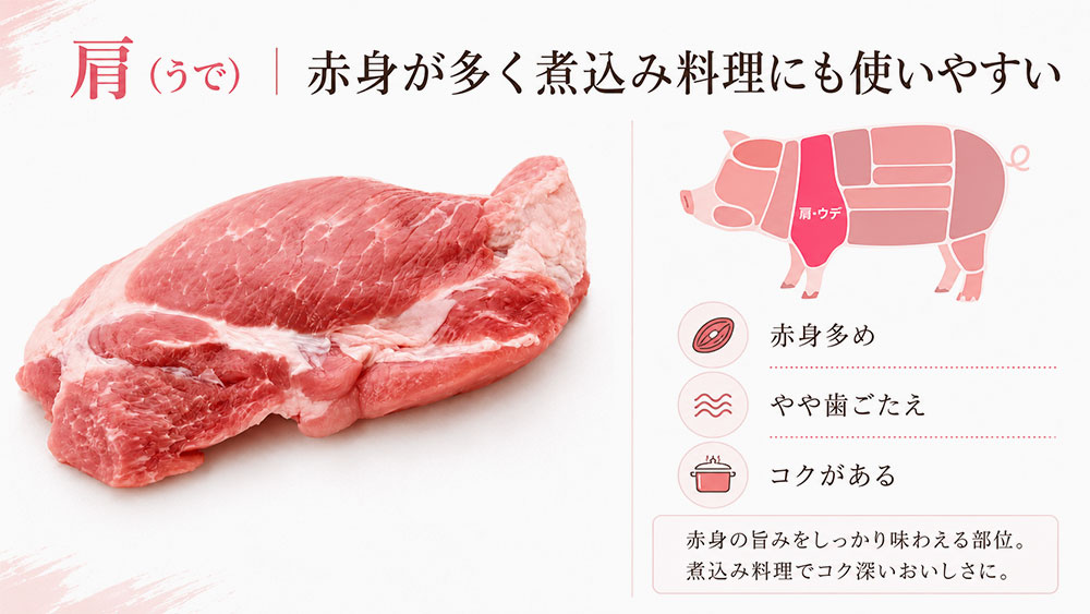 肩（うで）｜赤身が多く煮込み料理にも使いやすい