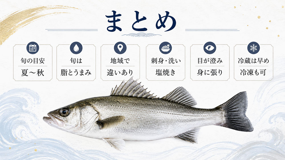 まとめ|スズキの一般的な旬は6〜8月