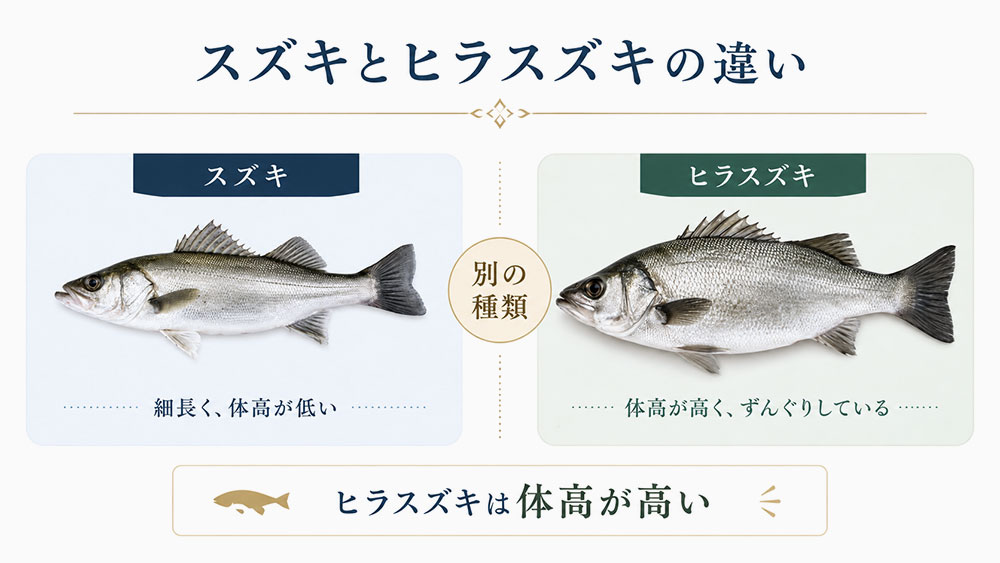 スズキとヒラスズキの違い