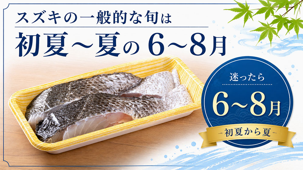 スズキの一般的な旬は初夏〜夏の6〜8月