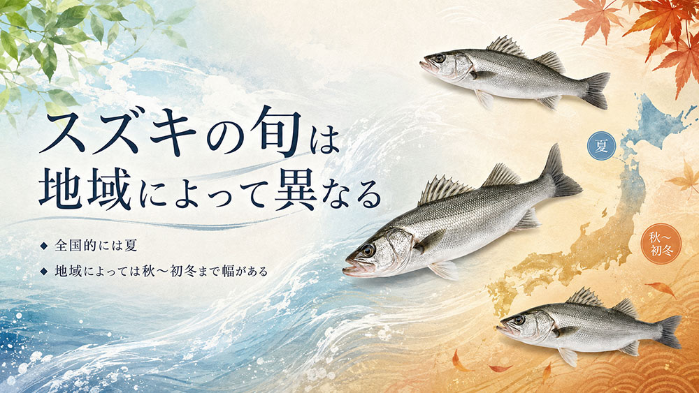スズキの旬は地域によって異なる