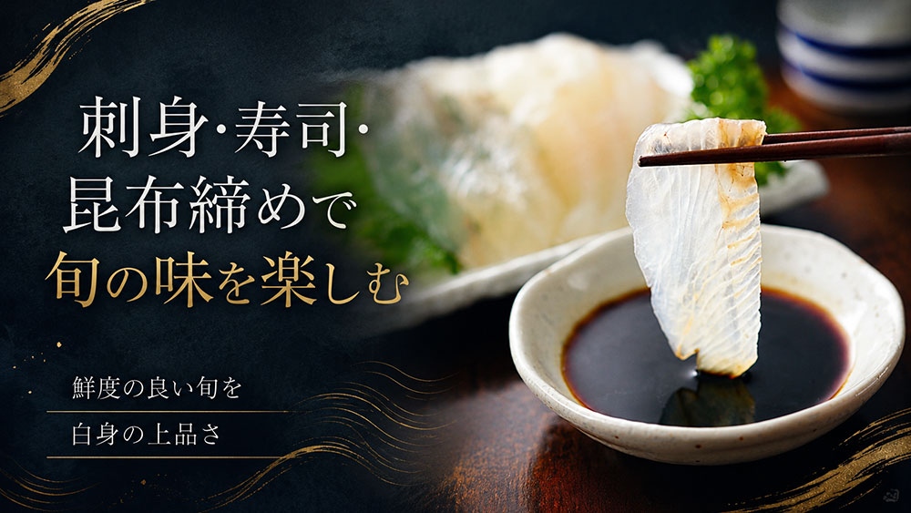 刺身・寿司・昆布締めで旬の味を楽しむ