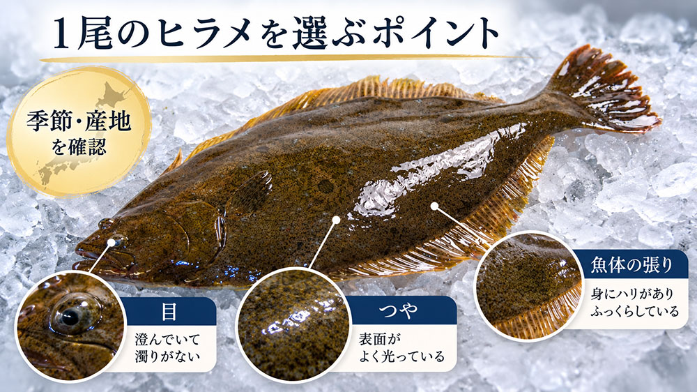 1尾のヒラメを選ぶポイント