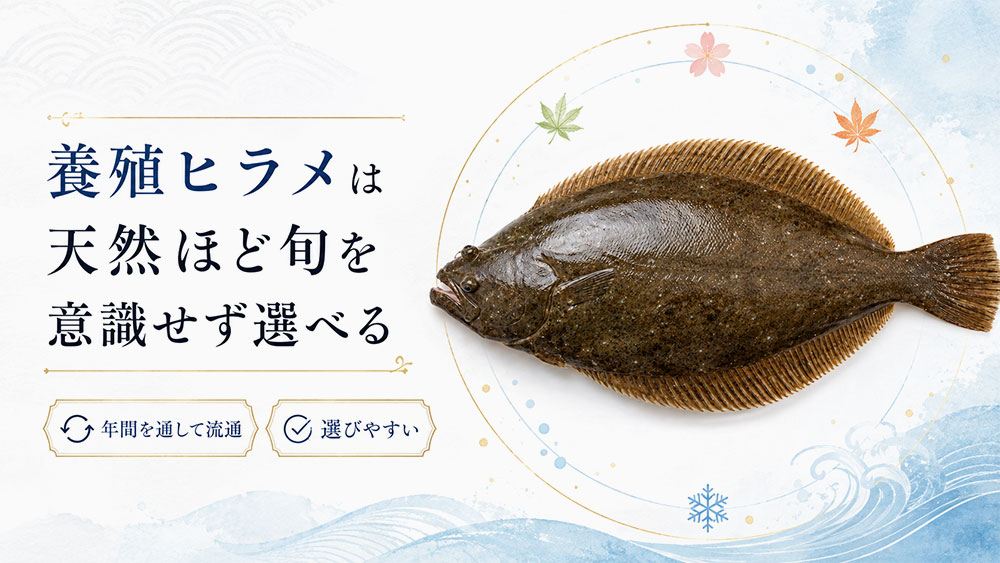 養殖ヒラメは天然ほど旬を意識せず選べる