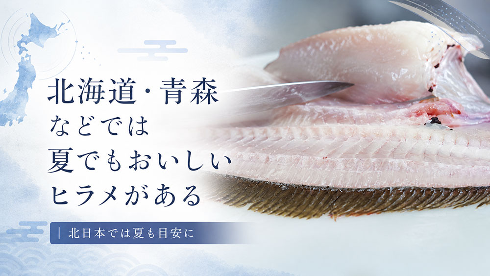 北海道・青森などでは夏でもおいしいヒラメがある