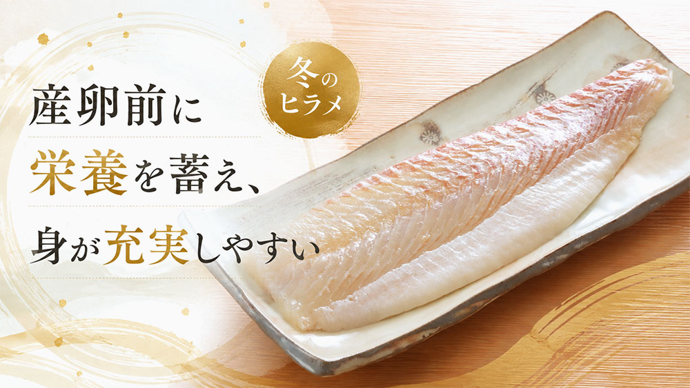 産卵前に栄養を蓄え、身が充実しやすい