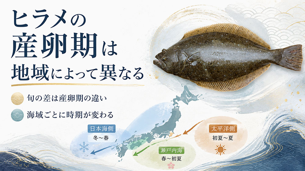 ヒラメの産卵期は地域によって異なる