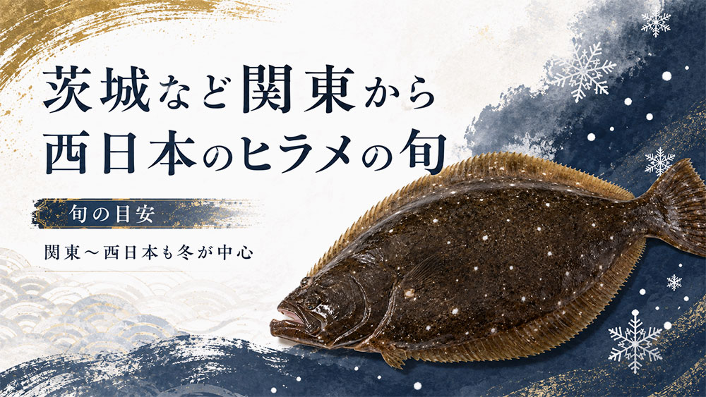 茨城など関東から西日本のヒラメの旬