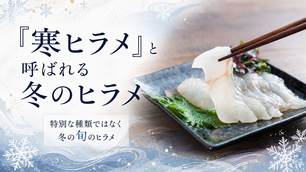 「寒ヒラメ」と呼ばれる冬のヒラメ