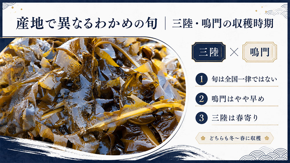 産地で異なるわかめの旬|三陸・鳴門の収穫時期