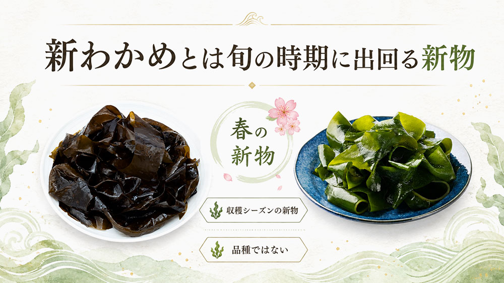 新わかめとは旬の時期に出回る新物