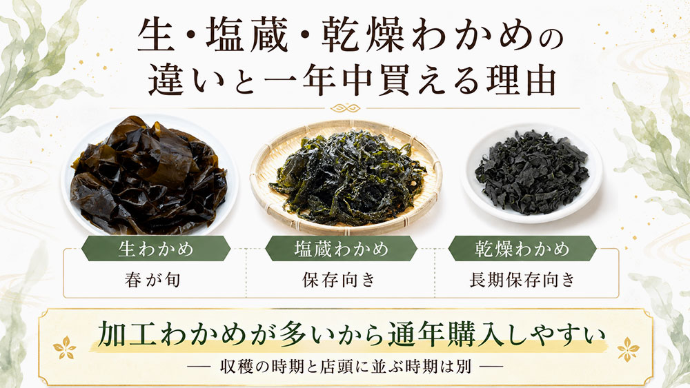 生・塩蔵・乾燥わかめの違いと一年中買える理由