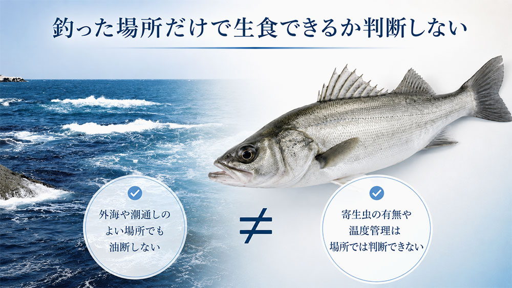 釣った場所だけで生食できるか判断しない
