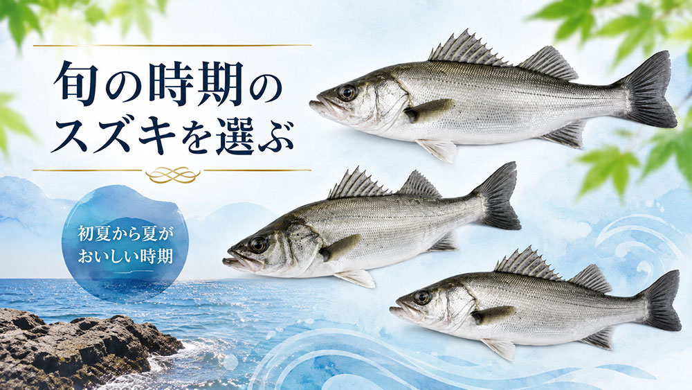 旬の時期のスズキを選ぶ