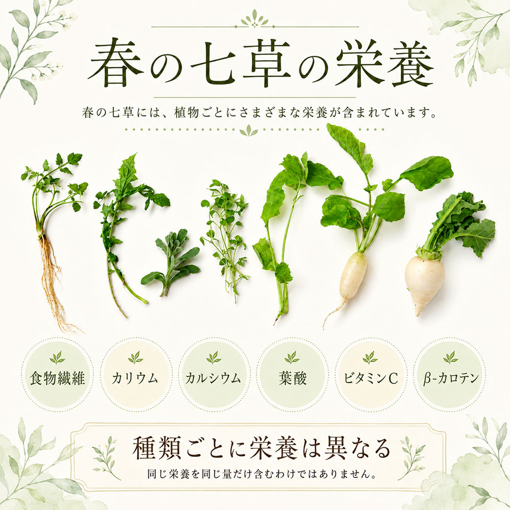 春の七草に含まれる栄養について