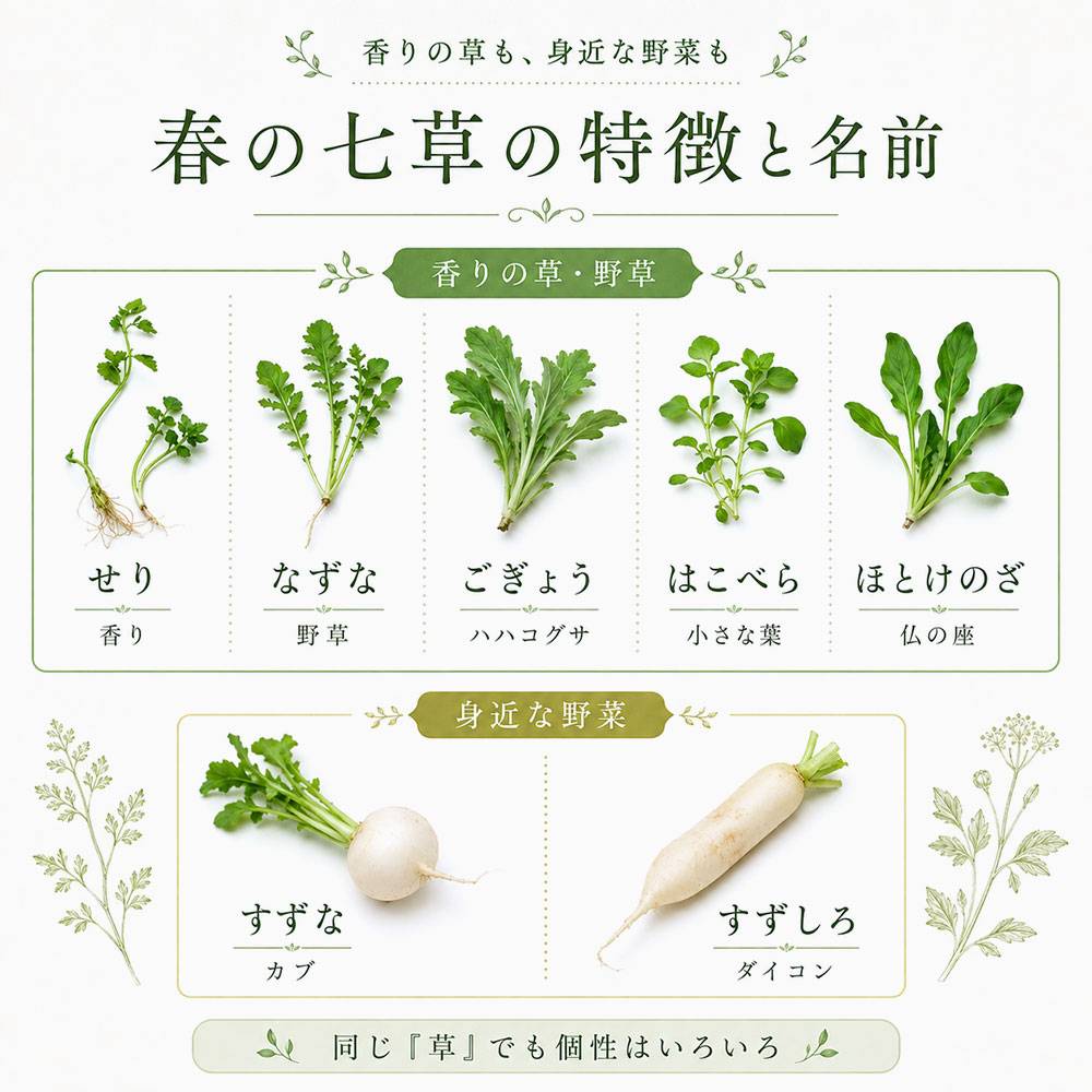 春の七草7種類の特徴と名前の意味