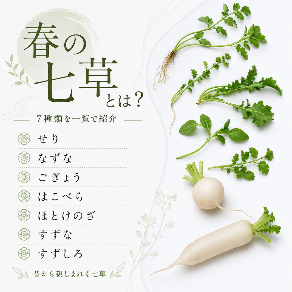 春の七草とは?7種類の名前を一覧で紹介