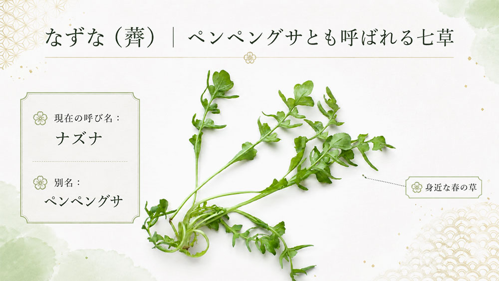 なずな(薺)|ペンペングサとも呼ばれる七草