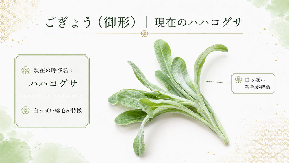 ごぎょう(御形)|現在のハハコグサ