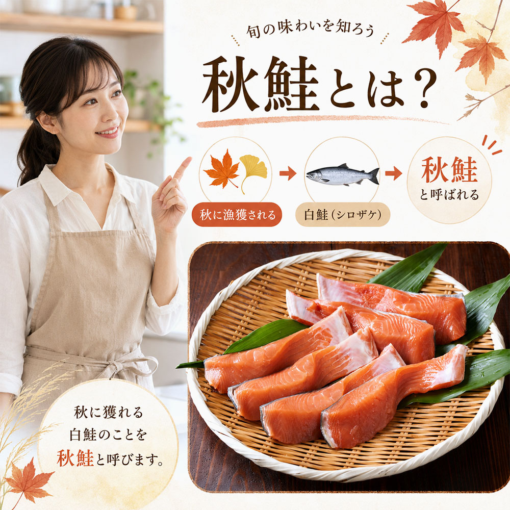 秋鮭とは?秋に漁獲される白鮭