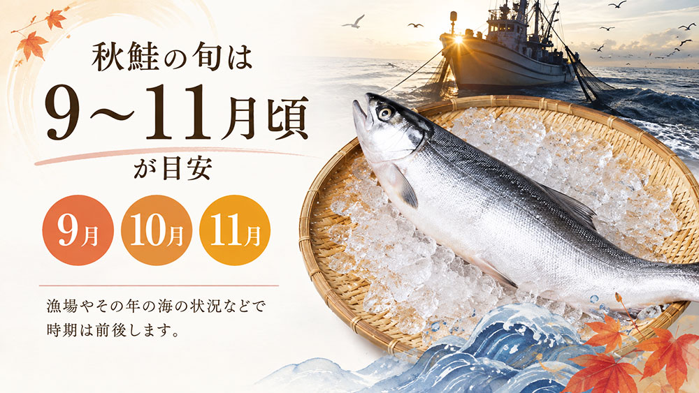 秋鮭の旬は9〜11月頃が目安