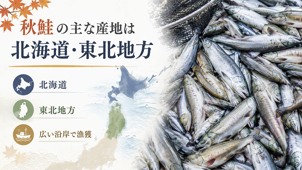 秋鮭の主な産地は北海道・東北地方